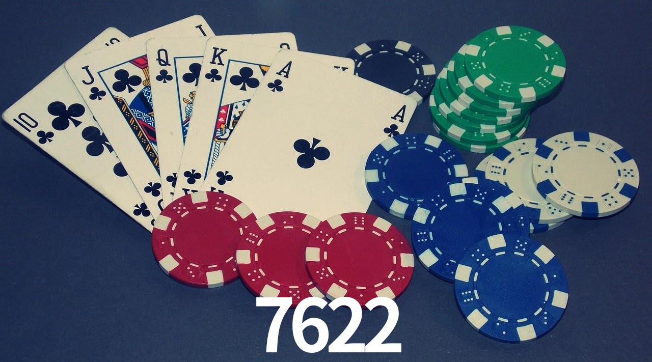 Experiência VIP 7622
